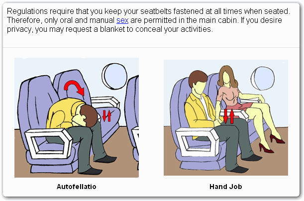 Airplane Sex Guide